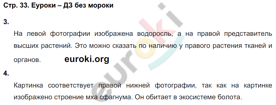 Тетрадь-тренажёр по биологии 7 класс. ФГОС Сухорукова, Кучменко, Власова Страница 33