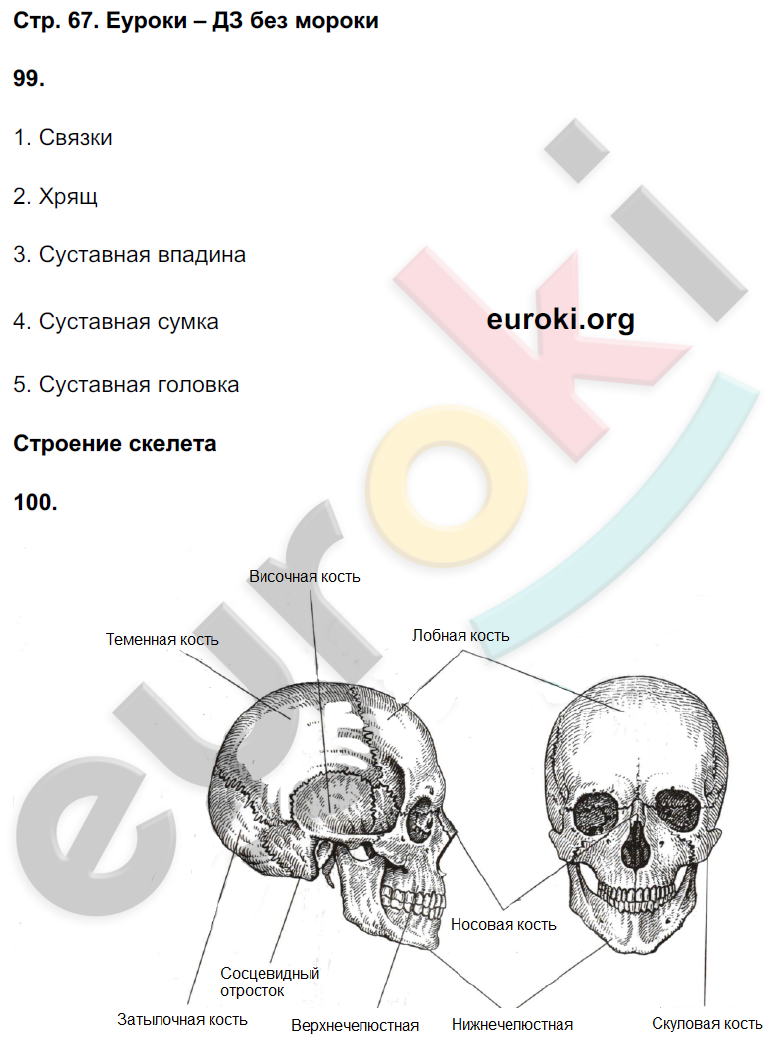 Рабочая тетрадь по биологии 9 класс Сонин, Сапин Страница 67