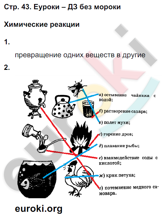 Рабочая тетрадь по естествознанию 6 класс Гуревич Страница 43