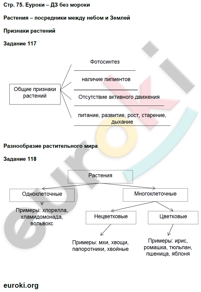 Рабочая тетрадь по естествознанию 5 класс. ФГОС Пакулова, Иванова Страница 75