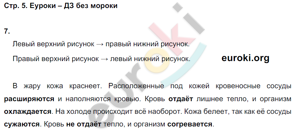 Рабочая тетрадь по окружающему миру 4 класс. Часть 1, 2 Вахрушев, Бурский Страница 5