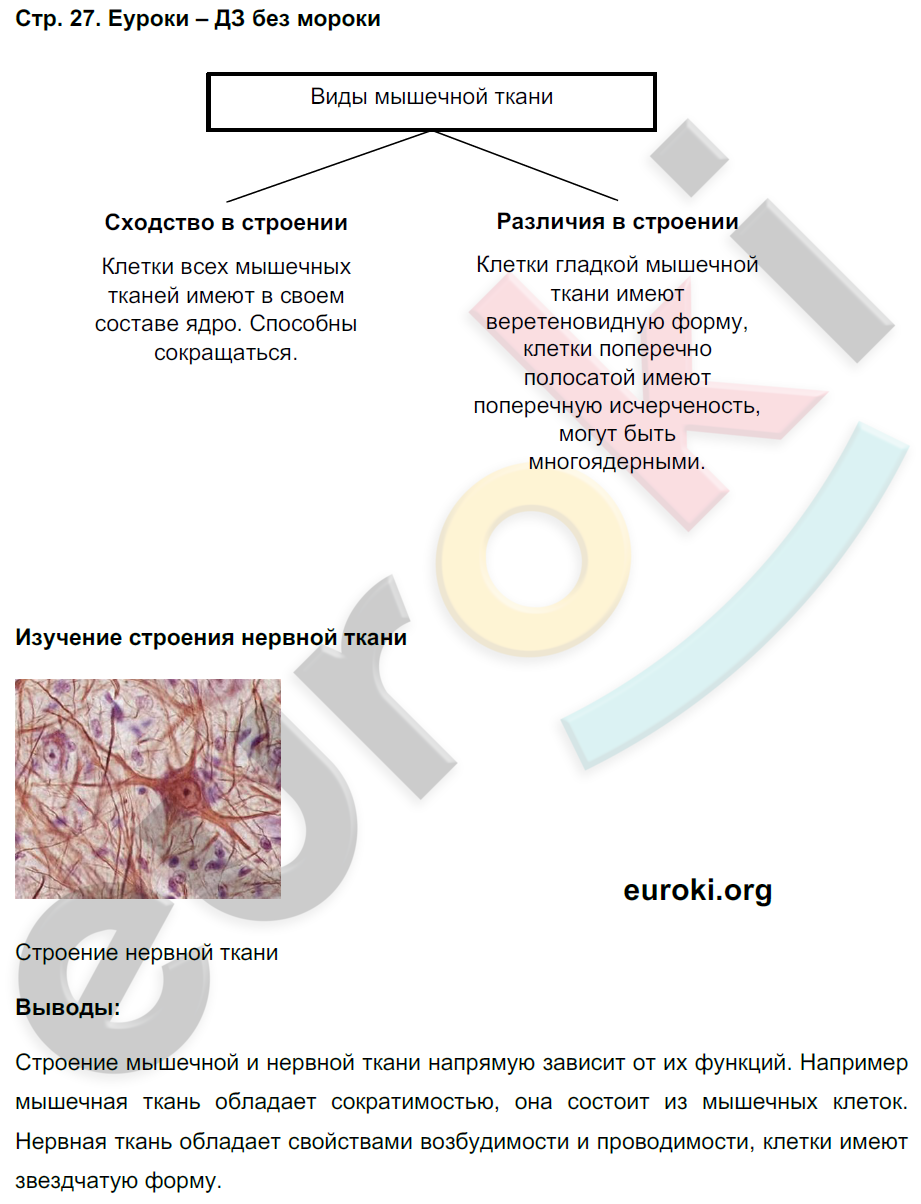 Тетрадь-практикум по биологии 5 класс Сухорукова, Кучменко Страница 27