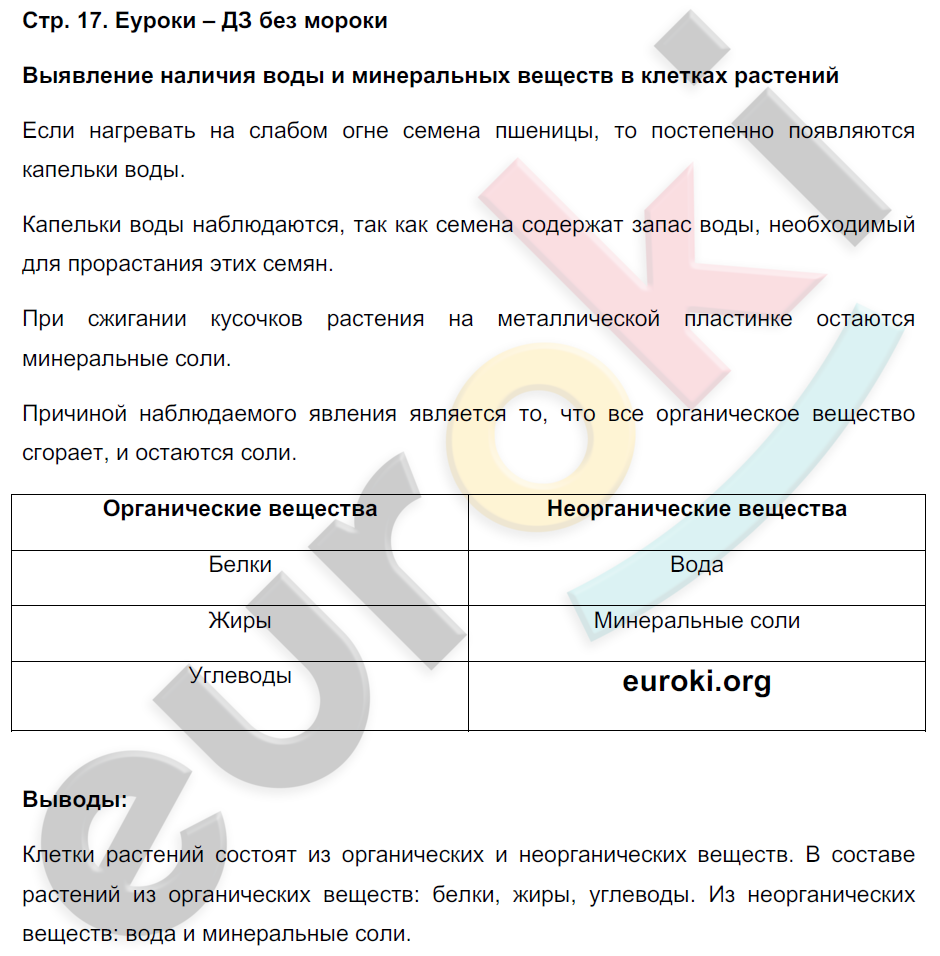 Биология 6 класс тетрадь 2023. Биология 6 класс тетрадь практикум. Биология 5 класс тетрадь практикум Сухорукова. Биология 6 класс тетрадь практикум Сухорукова. Биология 6 класс Сухорукова практикум.