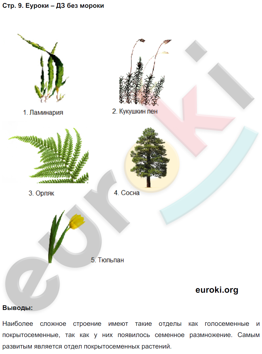 Тетрадь-практикум по биологии 6 класс Сухорукова, Кучменко Страница 9