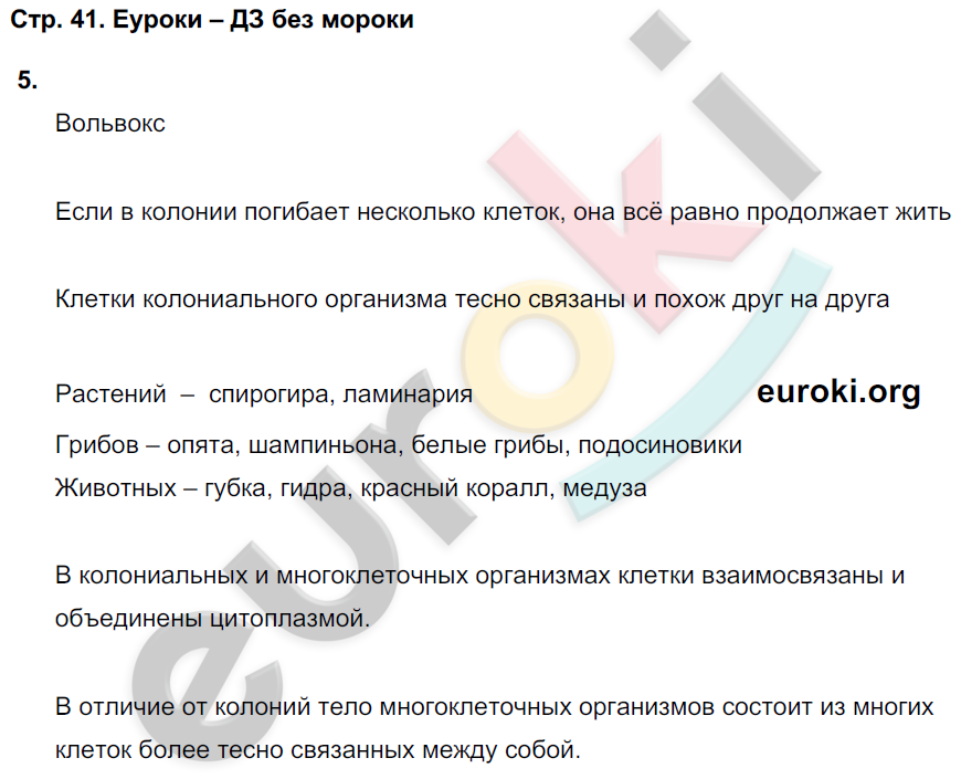 Тетрадь-тренажёр по биологии 6 класс. Часть 1, 2. ФГОС Сухорукова, Кучменко, Дмитриева Страница 41