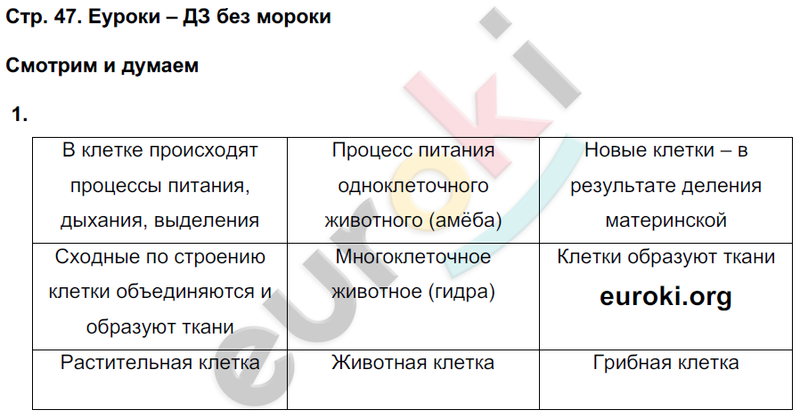 Тетрадь-тренажёр по биологии 6 класс. Часть 1, 2. ФГОС Сухорукова, Кучменко, Дмитриева Страница 47