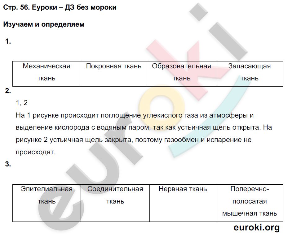 Тетрадь-тренажёр по биологии 6 класс. Часть 1, 2. ФГОС Сухорукова, Кучменко, Дмитриева Страница 56