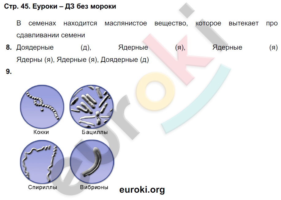 Тетрадь-тренажёр по биологии 5 класс. Часть 1, 2 Сухорукова, Кучменко, Дмитриева Страница 45
