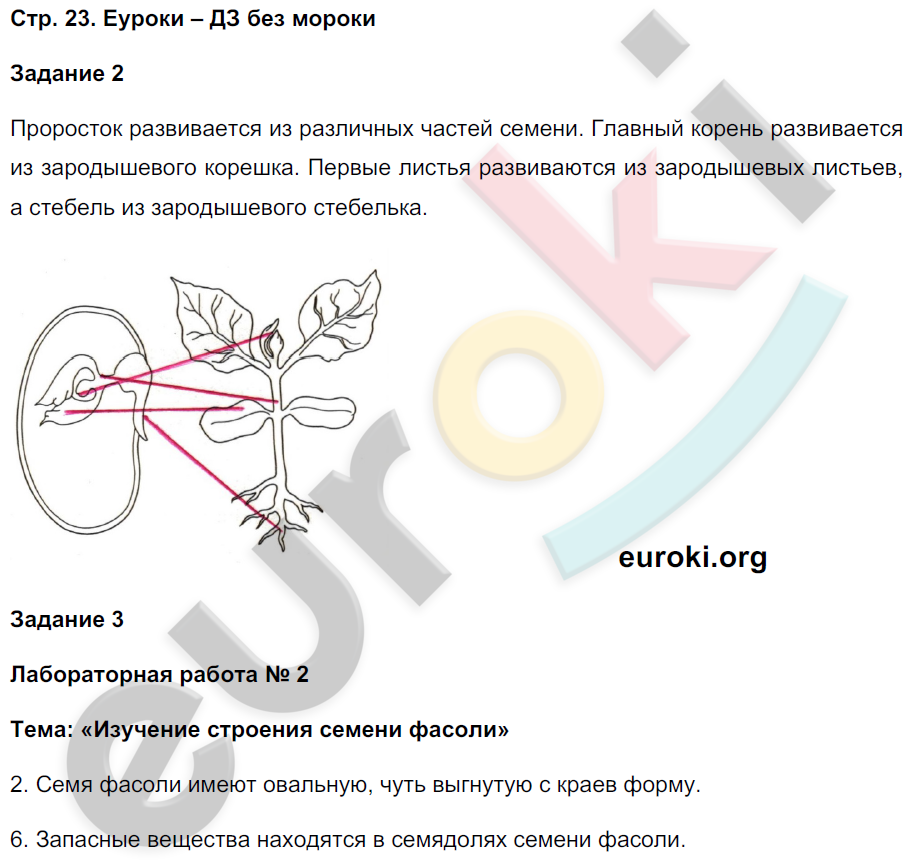 Рабочая тетрадь по биологии 7 класс. Часть 1, 2. ФГОС Пономарева, Корнилова, Кучменко Страница 23