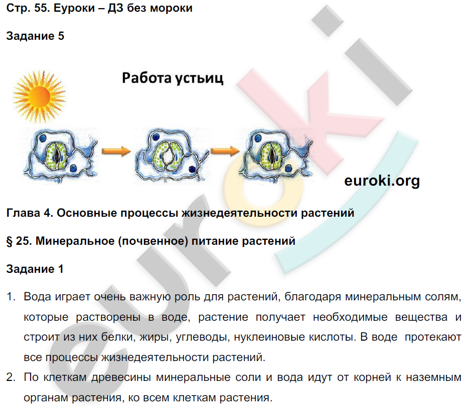 Рабочая тетрадь по биологии 7 класс. Часть 1, 2. ФГОС Пономарева, Корнилова, Кучменко Страница 55