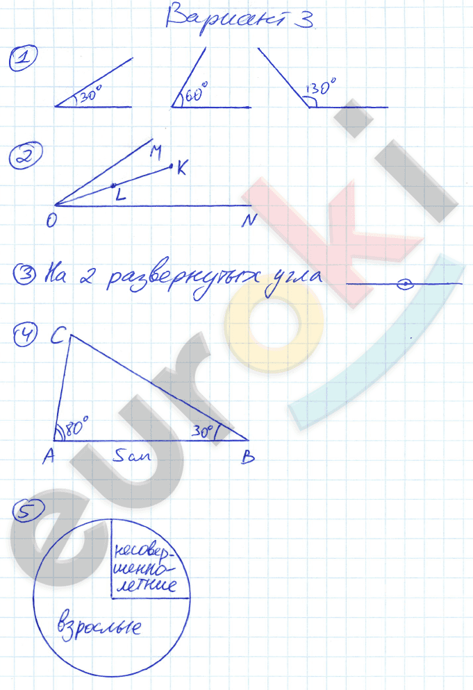 Контрольная по теме углы 5 класс