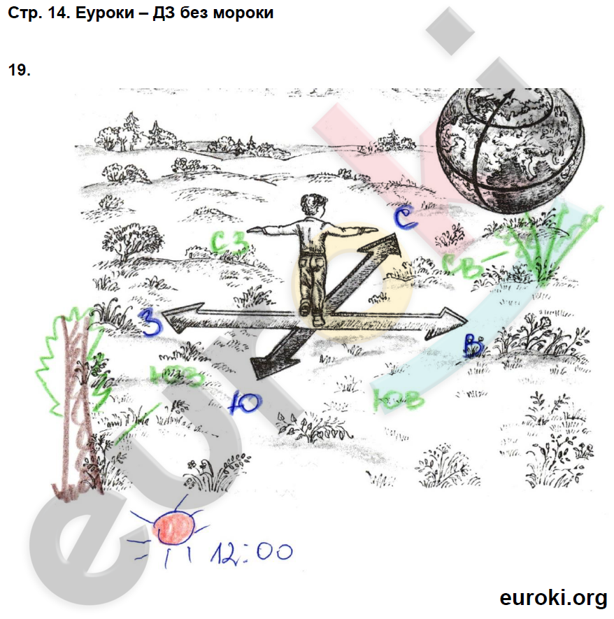 Рабочая тетрадь по окружающему миру 3 класс. Часть 1, 2. ФГОС Федотова, Трафимова Страница 14