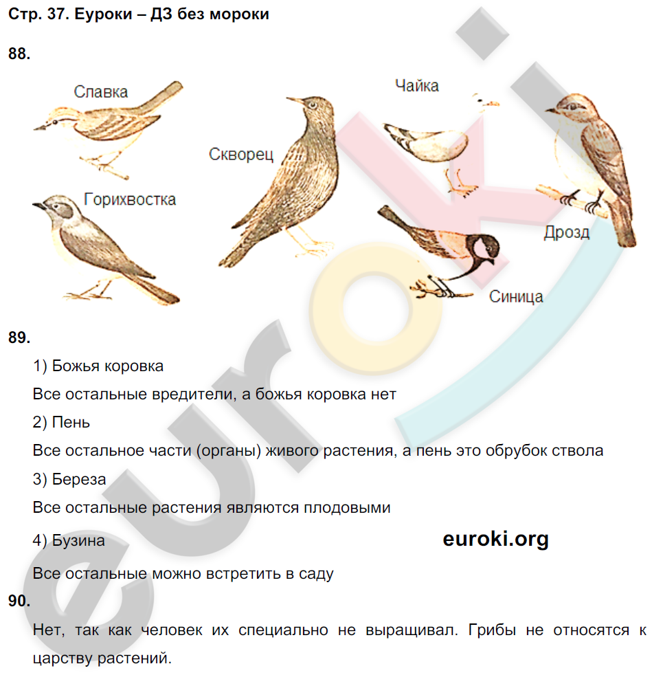 Рабочая тетрадь по окружающему миру 4 класс. Часть 1, 2. ФГОС Ивченкова, Потапов Страница 37