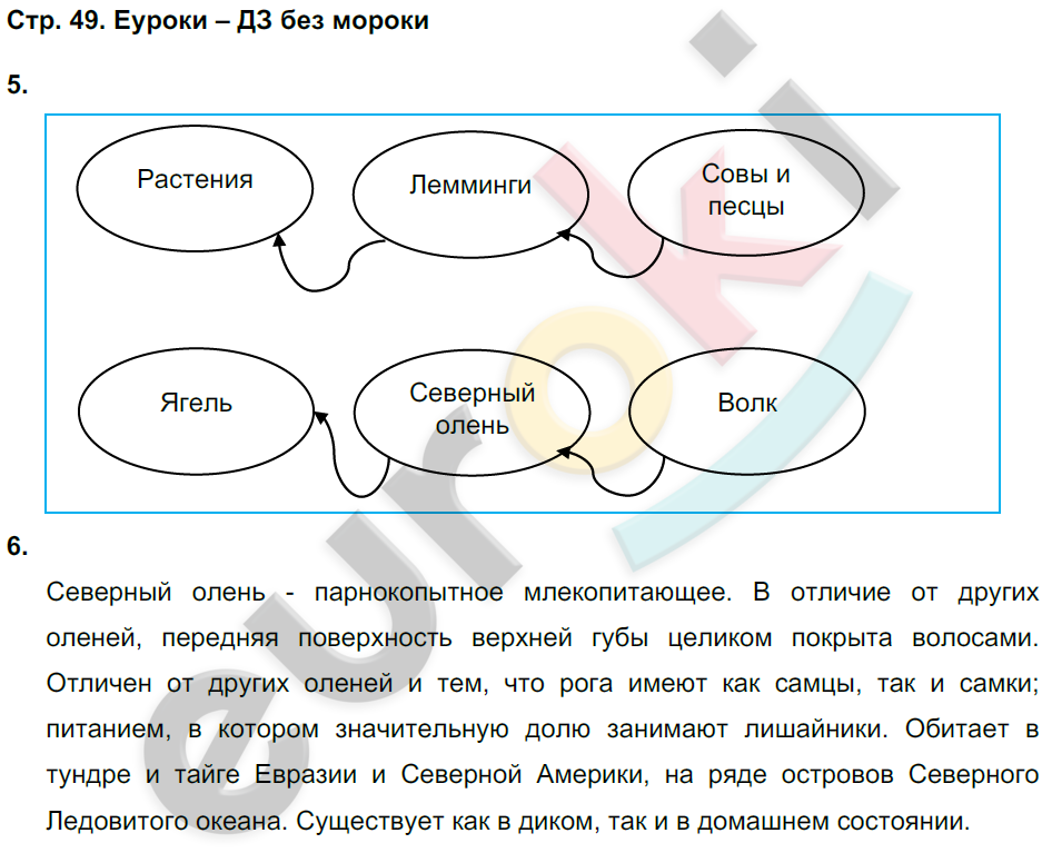 Рабочая тетрадь по окружающему миру 4 класс. Часть 1, 2. ФГОС Плешаков, Новицкая Страница 49