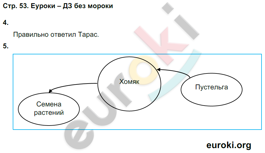 Рабочая тетрадь по окружающему миру 4 класс. Часть 1, 2. ФГОС Плешаков, Новицкая Страница 53