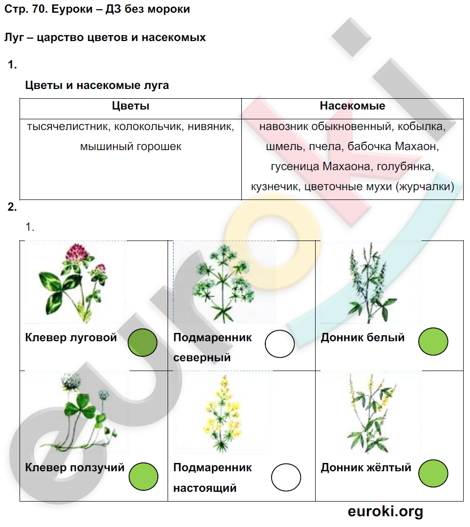 Рабочая тетрадь по окружающему миру 3 класс. Часть 1, 2. ФГОС Плешаков, Новицкая Страница 70