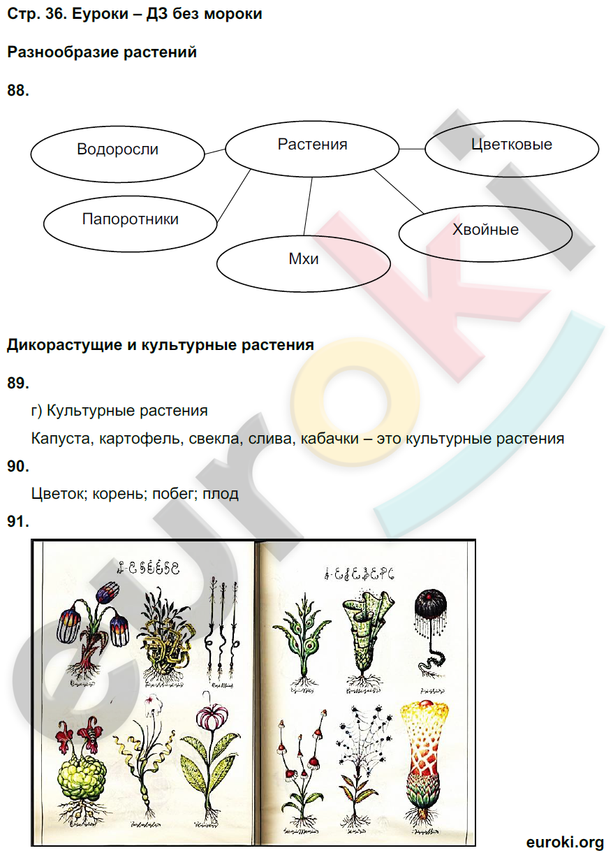 Окружающий мир 3 класс ивченков