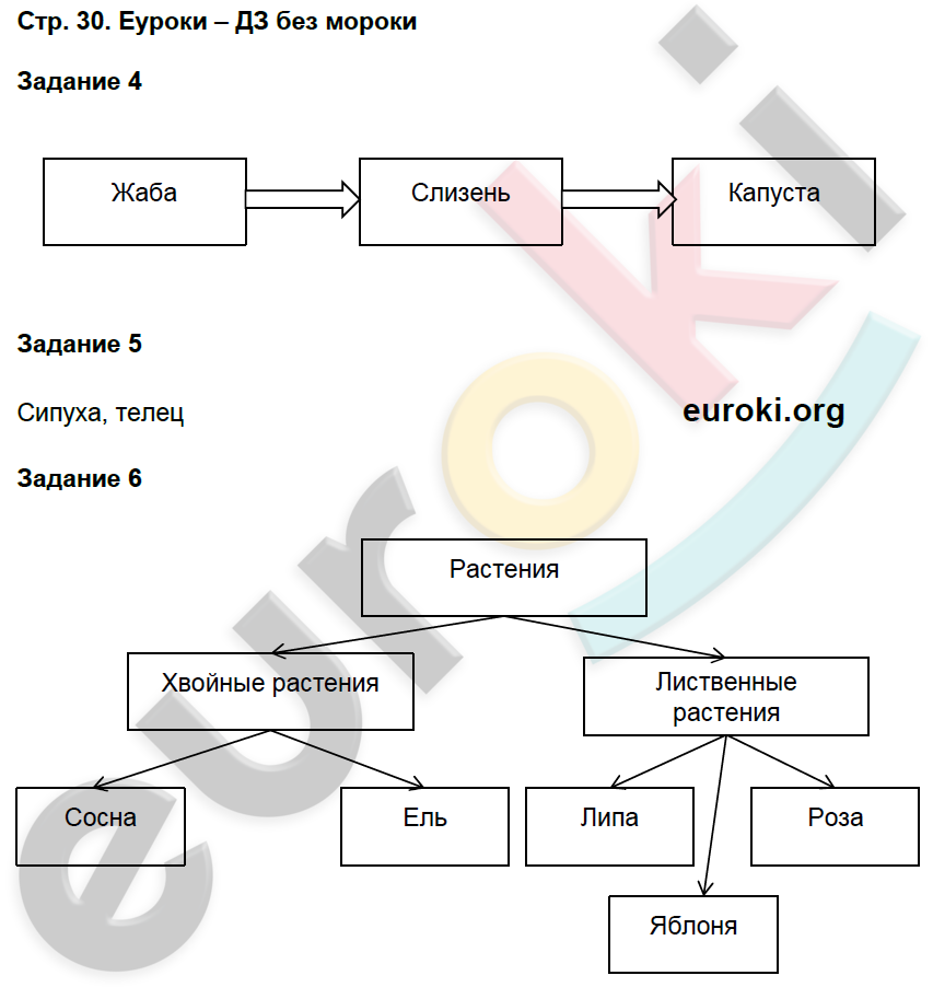 Проверочные работы по окружающему миру 3 класс Плешаков Страница 30