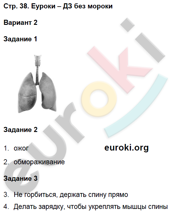 Проверочные работы по окружающему миру 3 класс Плешаков Страница 38