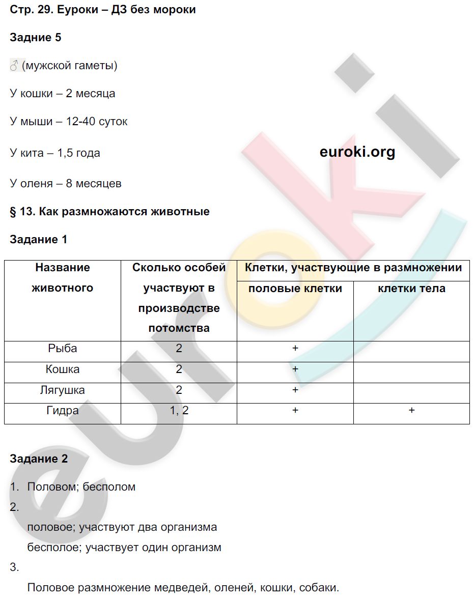 Рабочая тетрадь по биологии 5 класс. Часть 1, 2. ФГОС Сухова, Строганов Страница 29