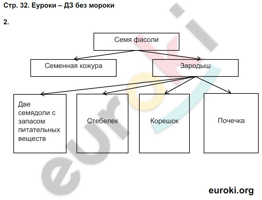 Рабочая тетрадь по биологии 5 класс. Часть 1, 2. ФГОС Сухова, Строганов Страница 32