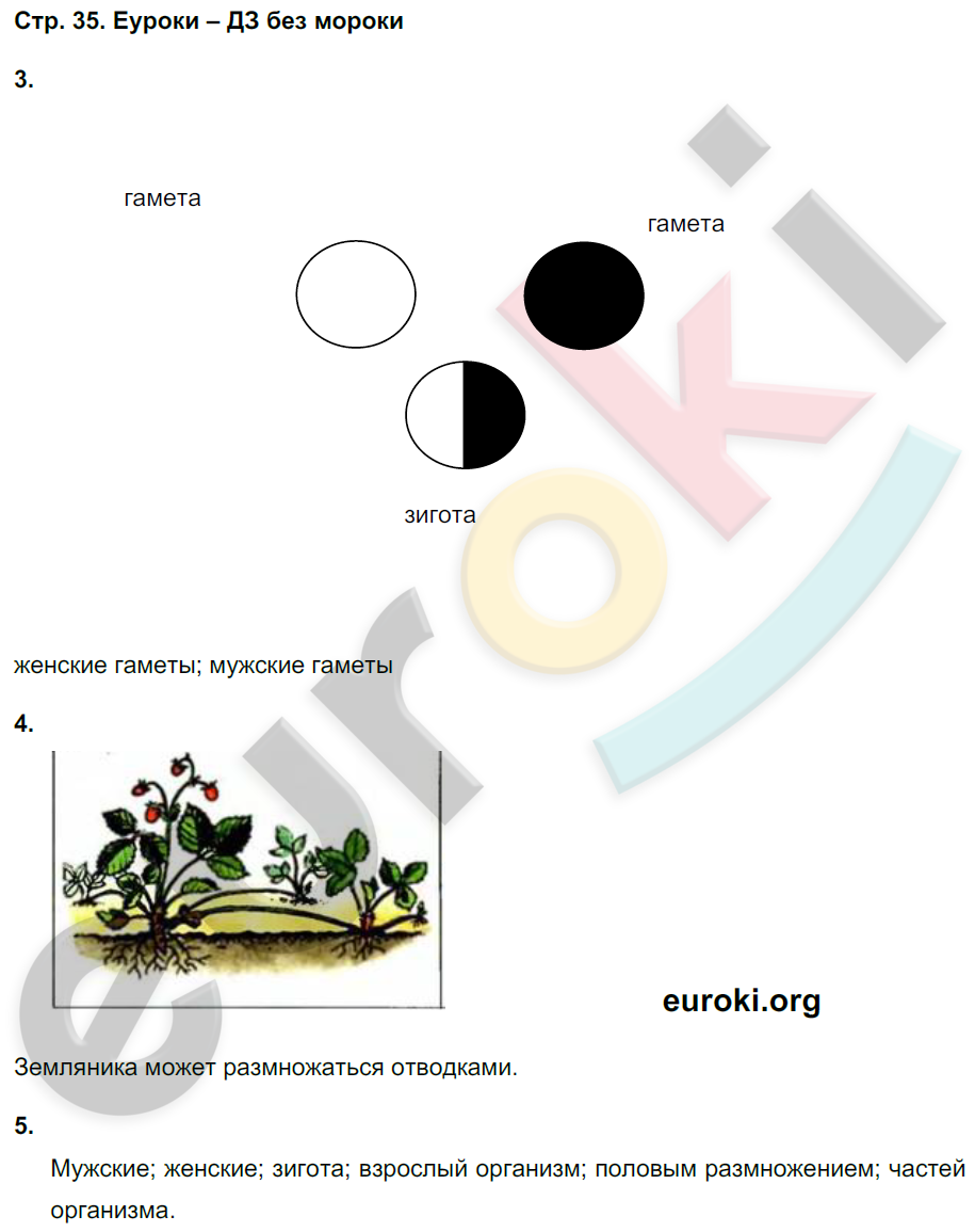 Рабочая тетрадь по биологии 5 класс. Часть 1, 2. ФГОС Сухова, Строганов Страница 35