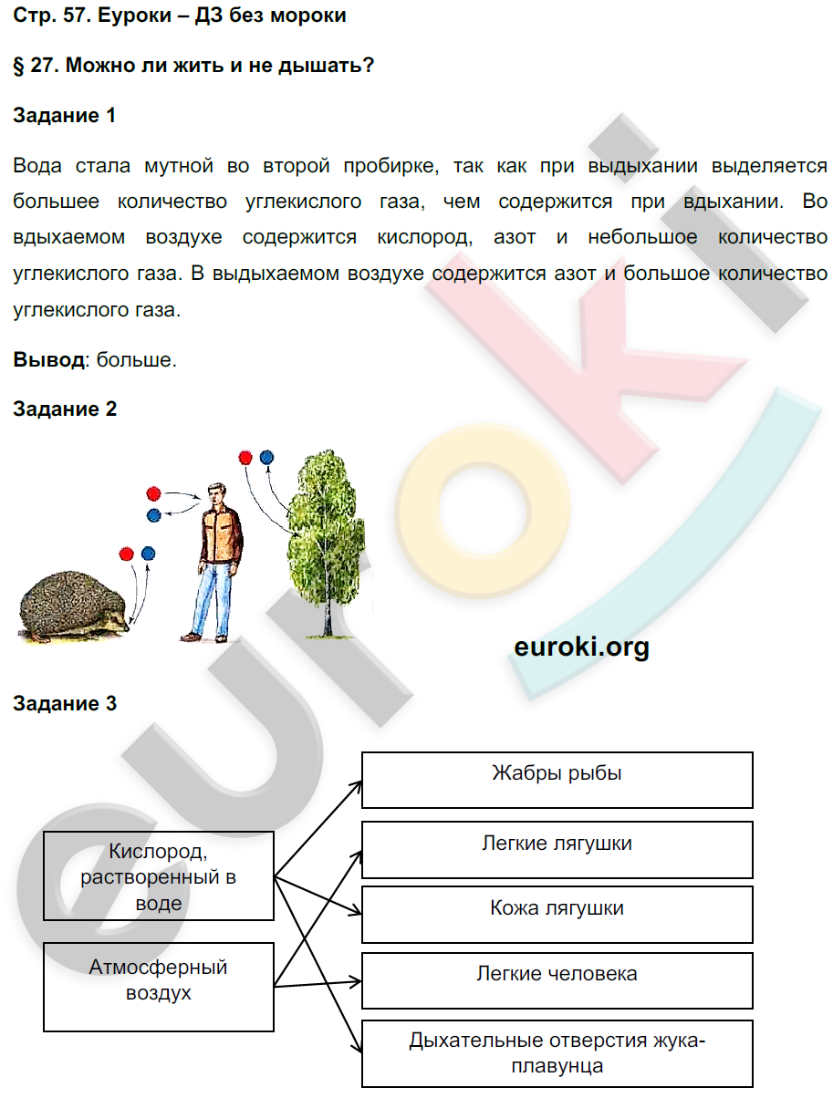 Рабочая тетрадь по биологии 5 класс. Часть 1, 2. ФГОС Сухова, Строганов Страница 57