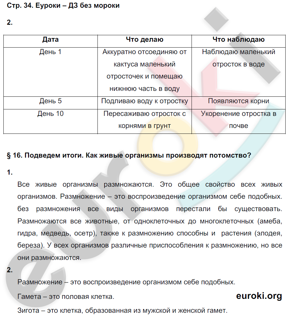 Рабочая тетрадь по биологии 6 класс. Часть 1, 2. ФГОС Сухова, Строганов Страница 34