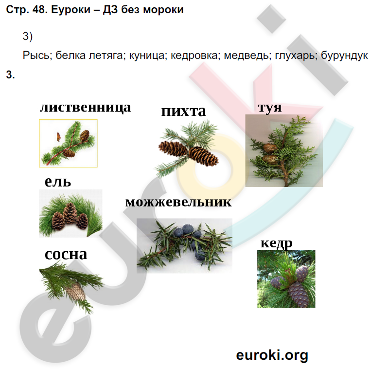 Рабочая тетрадь по окружающему миру 4 класс. Часть 1, 2. ФГОС Плешаков, Крючкова Страница 48