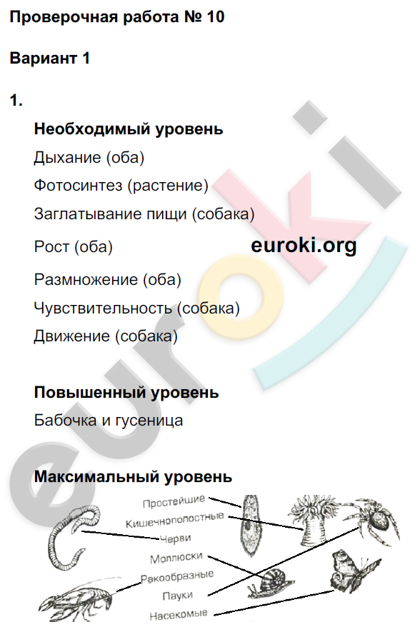 Проверочные и контрольные работы по окружающему миру 3 класс. Часть 1, 2. ФГОС Вахрушев, Родыгина, Сизова, Харитонова Вариант 1