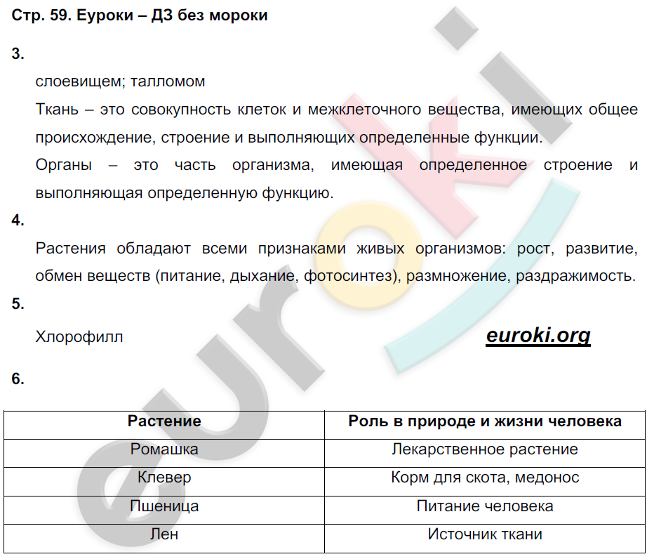 Рабочая тетрадь по биологии 5 класс. ФГОС Пасечник Страница 59