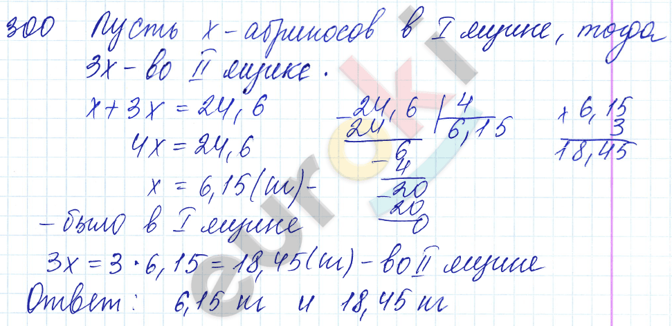 Дидактические материалы по математике 5 класс Чесноков, Нешков Вариант 300