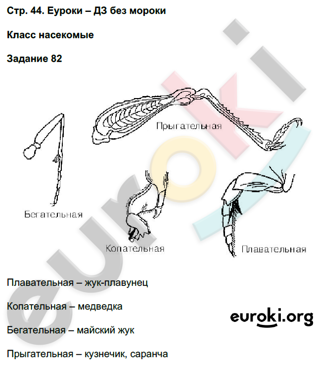 Рабочая тетрадь по биологии 7 класс. ФГОС Суматохин Страница 44