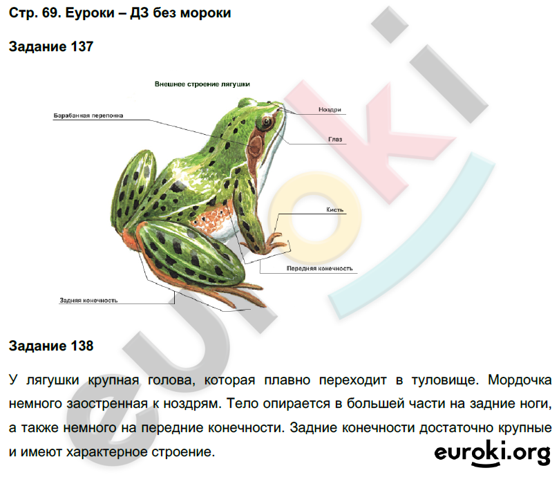 Рабочая тетрадь по биологии 7 класс. ФГОС Суматохин Страница 69