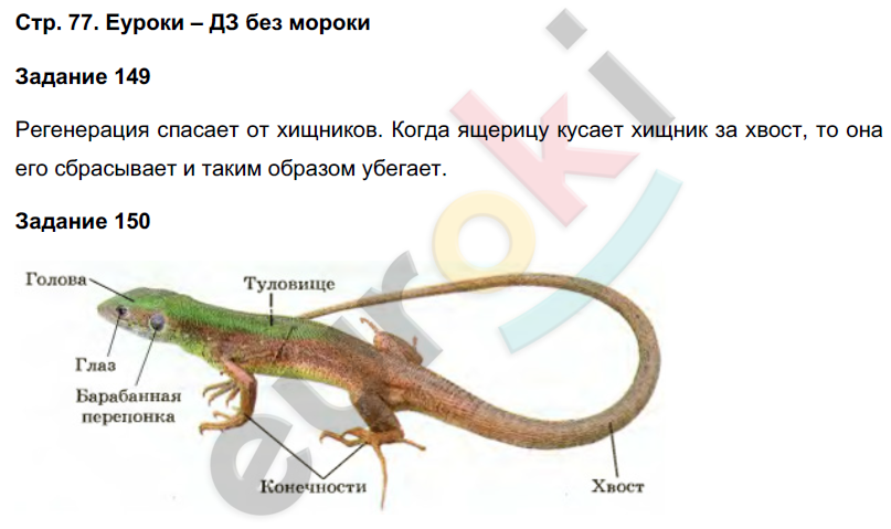 Рабочая тетрадь по биологии 7 класс. ФГОС Суматохин Страница 77