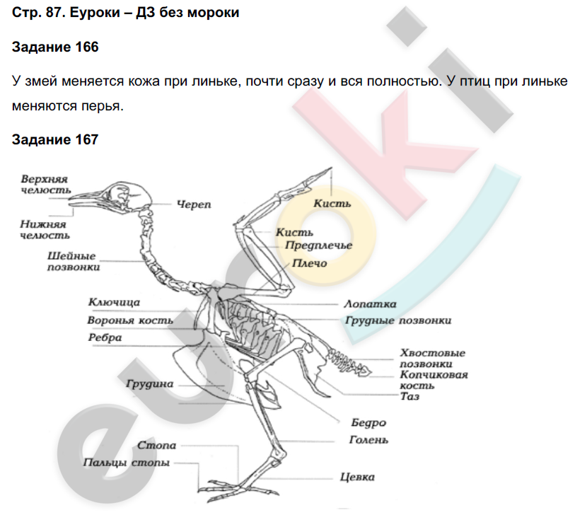 Рабочая тетрадь по биологии 7 класс. ФГОС Суматохин Страница 87